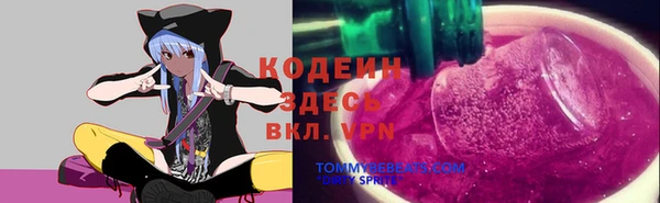 мяу мяу мука Белокуриха